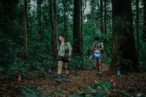 BIB: 
                            <button type="button" onclick="openModal(26130818)" class="btn btn-primary btn-sm float-right btn-popup" data-toggle="modal" data-target=".modal-high-quality">
                        <i class="fas fa-shopping-cart"></i> Add to Cart
                    </button>
                                            <button type="button" onclick="isThisMe(26130818, true)" class="btn btn-success btn-sm float-right btn-popup btn-isme hidden" data-toggle="tooltip" data-placement="bottom" title="นี่คือรูปของคุณใช่ไหม คลิกที่นี่เพื่อเอาเข้าอัลบั้ม">
                        <i class="fas fa-plus"></i> Add to album
                    </button>
                    <button type="button" onclick="isThisMe(26130818, false)" class="btn btn-warning btn-sm float-right btn-popup btn-isnotme hidden">
                        <i class="fas fa-ban"></i> Remove from album
                    </button>